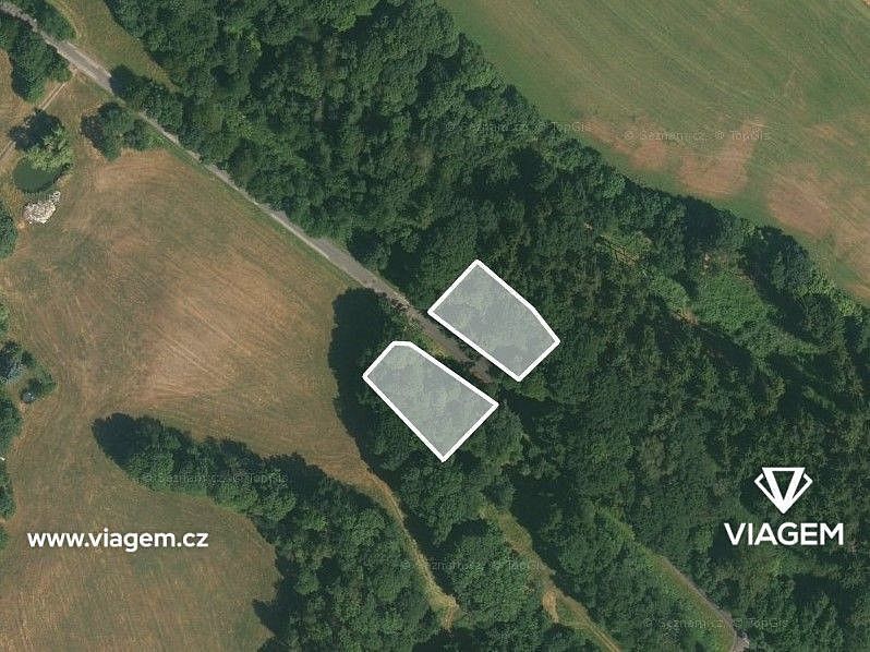 Prodej les - Úbislavice, okres Jičín, Královéhradecký kraj - 2
