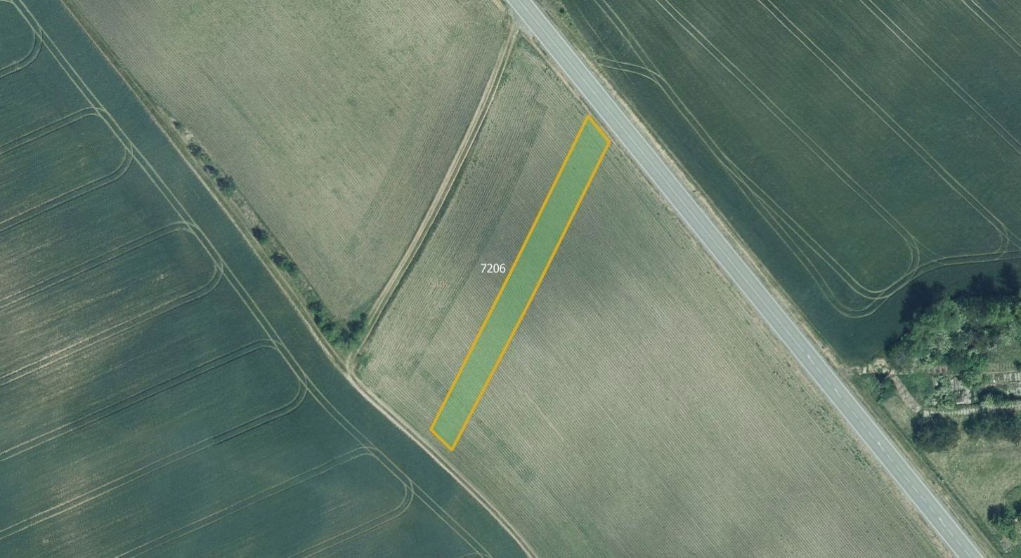 Prodej zemědělský pozemek - Borkovany