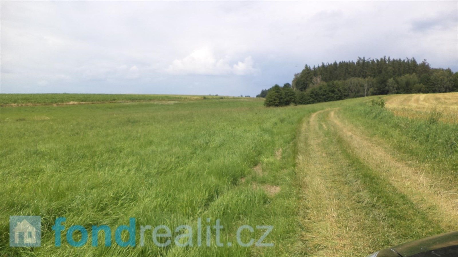 Prodej zemědělský pozemek - Vepříkov, 6 045 m²