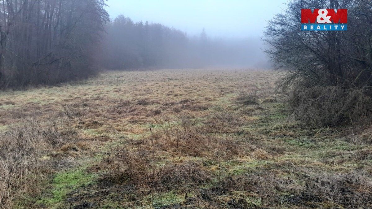 Prodej pozemek pro bydlení - Nepomuk, 335 01