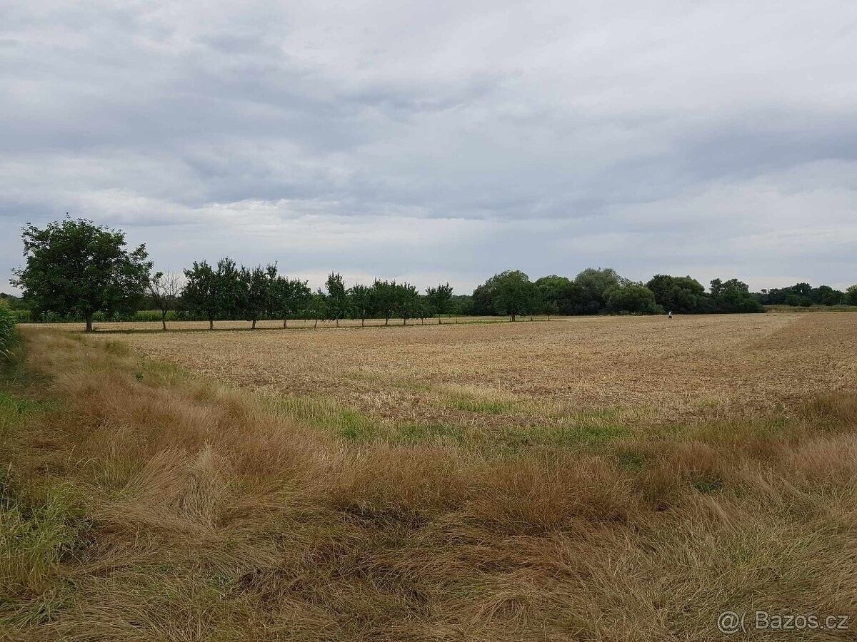 Pozemky pro bydlení, Veselí nad Moravou, 698 01