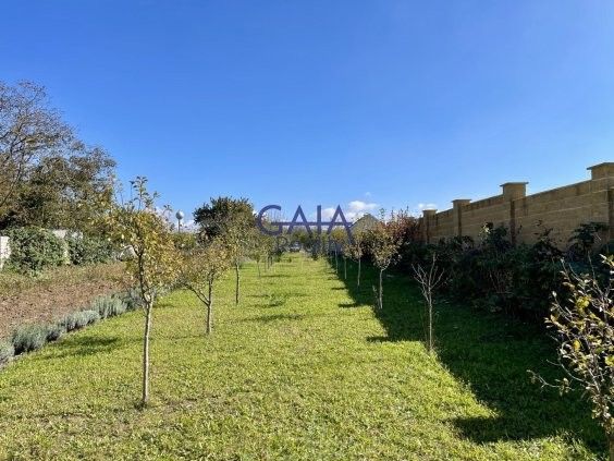 Zahrady, Veselí nad Moravou, 698 01 - 1