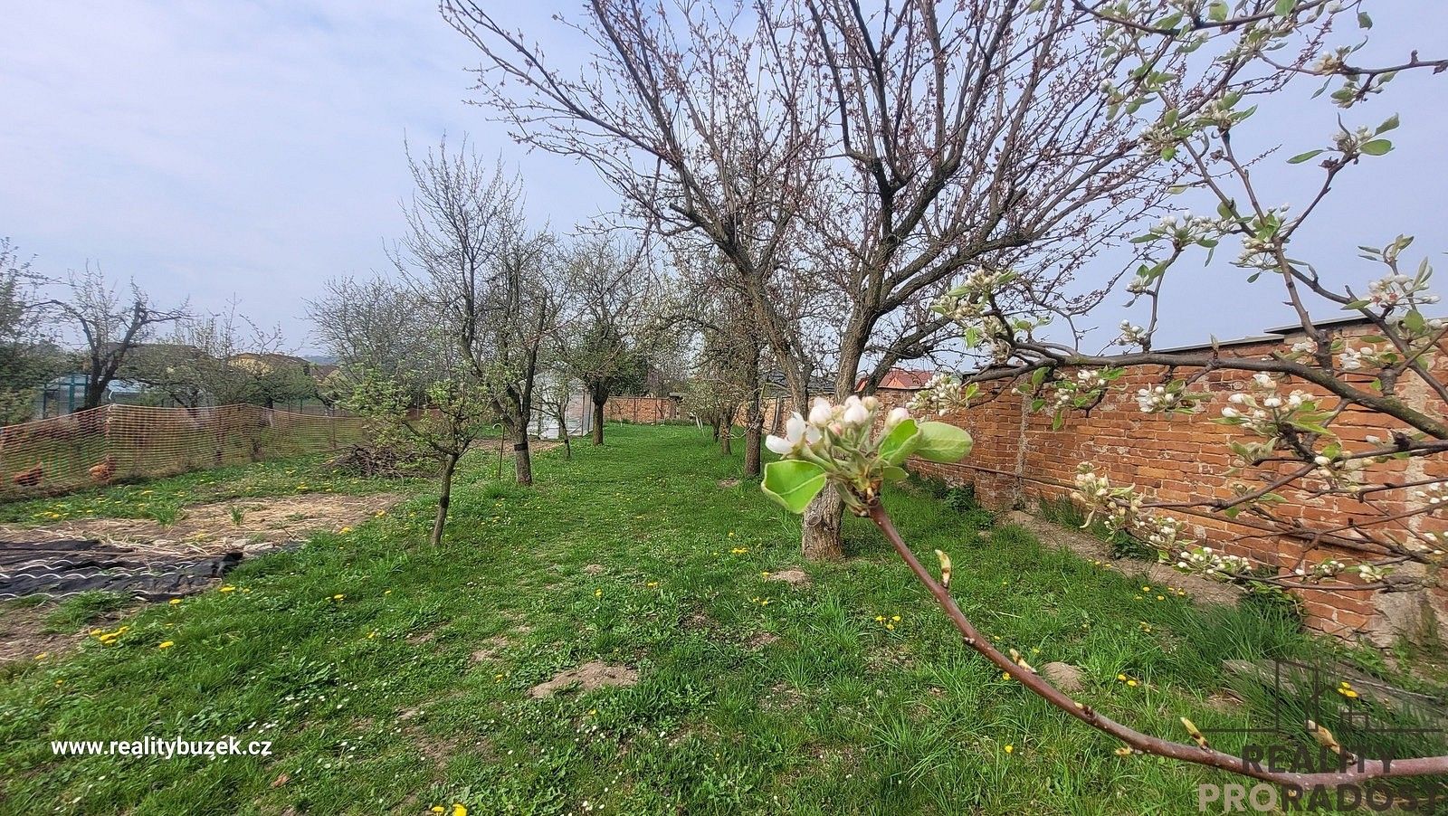Rodinný dům · 110 m² · Cholina, okres Olomouc - 4