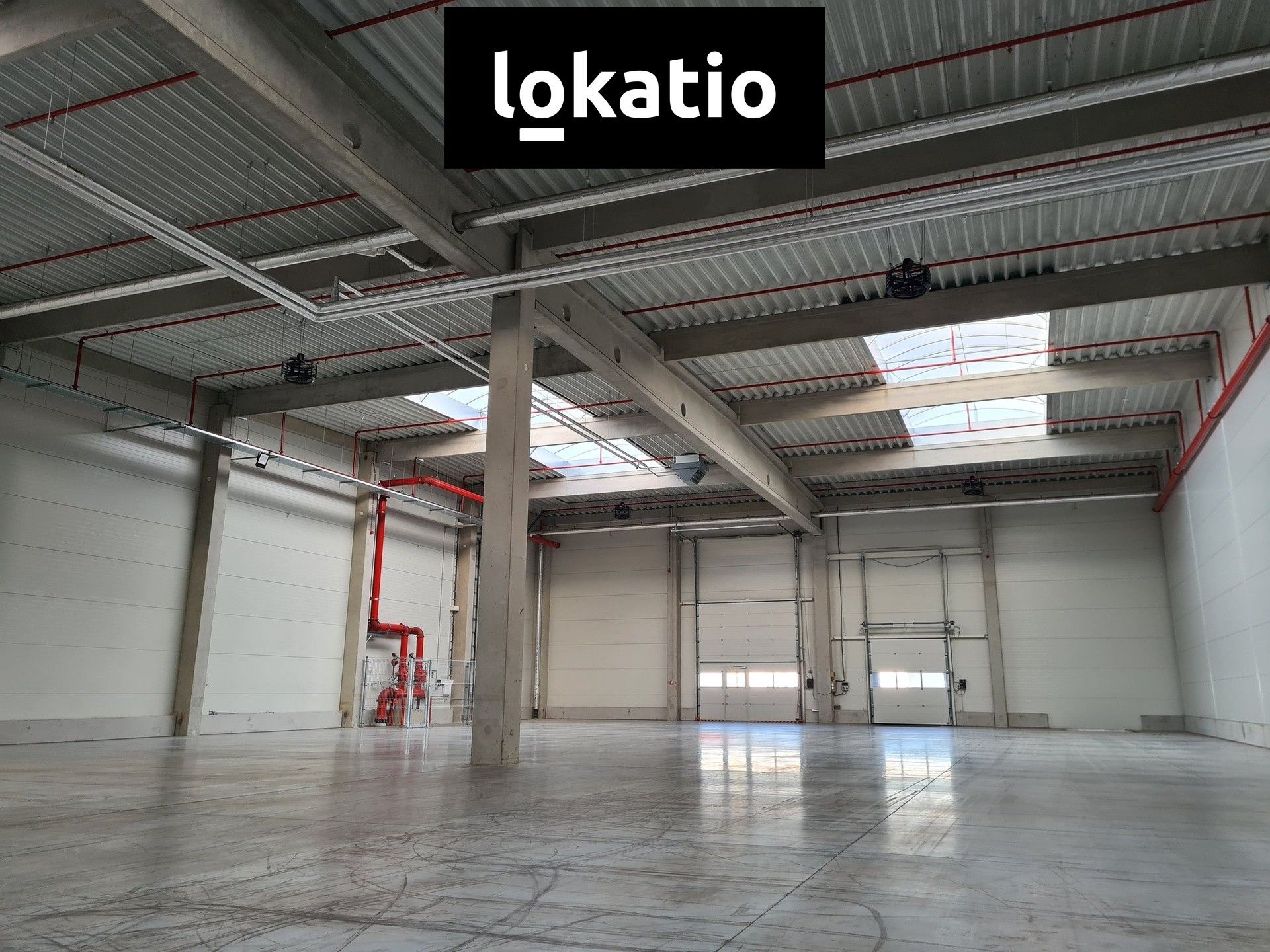 Sklady, Ostrava, 1 168 m² - 1