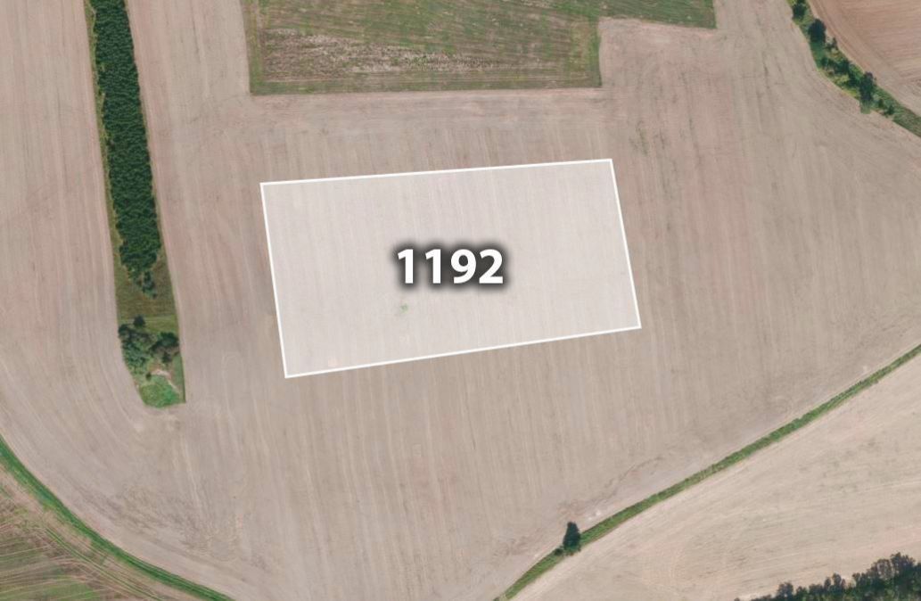 Zemědělské pozemky, Blížejov, 12 396 m²