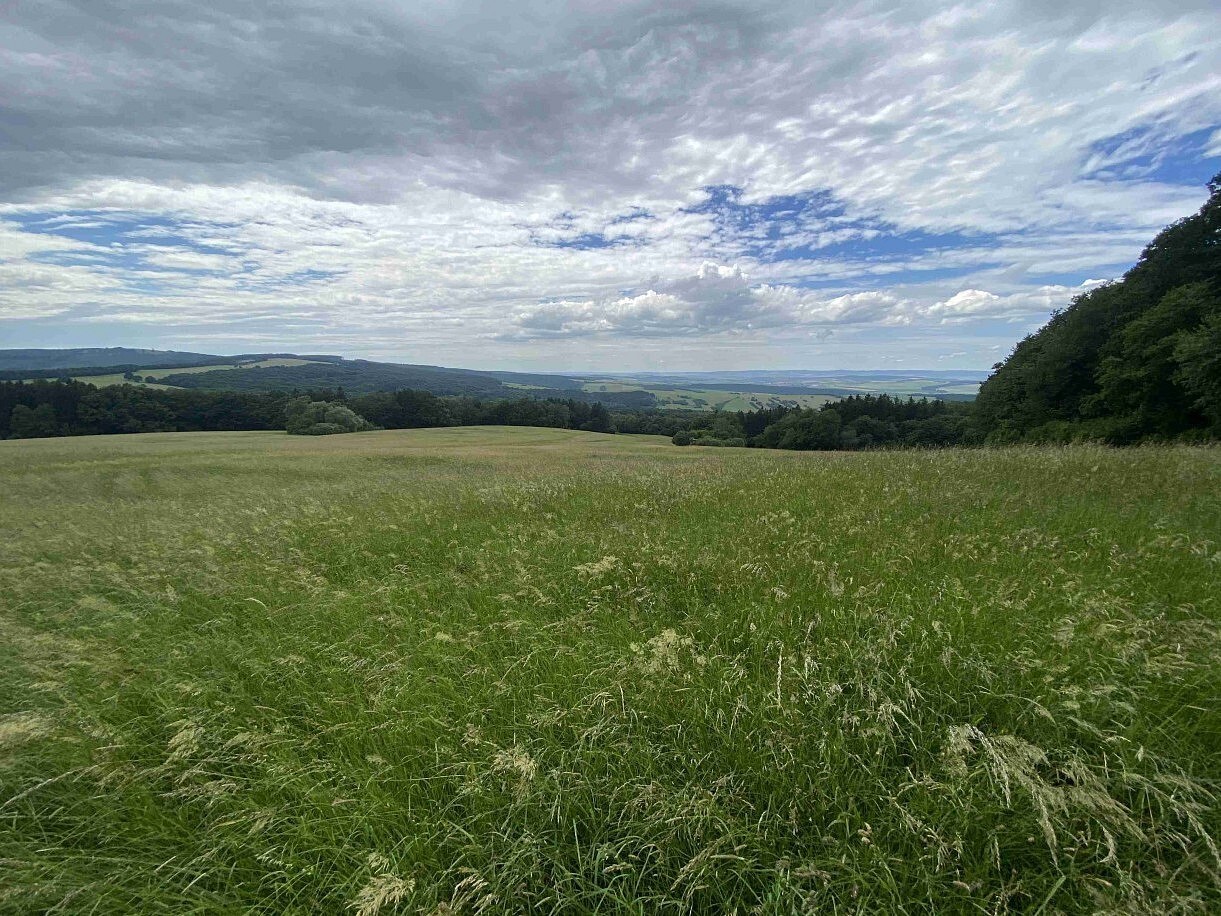 Louka, 7 545 m²