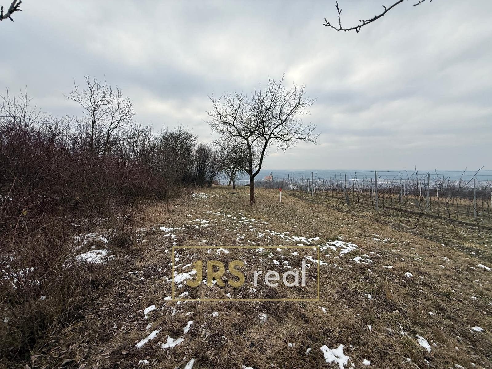 Zemědělské pozemky, Bzenec