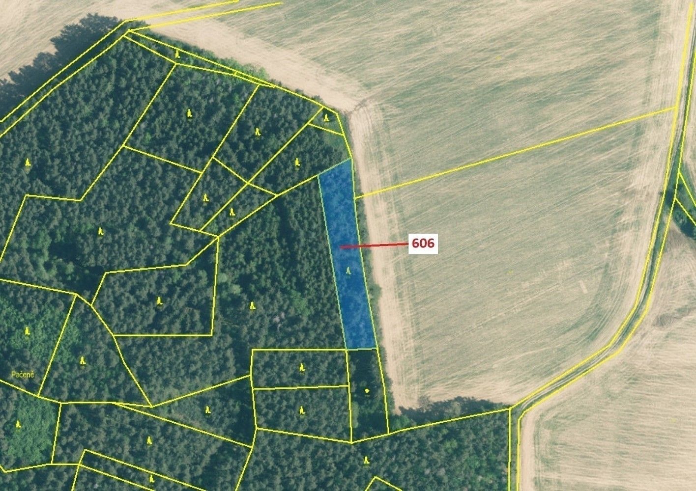 Prodej les - Kuřimany, okres Strakonice, Jihočeský kraj - 2