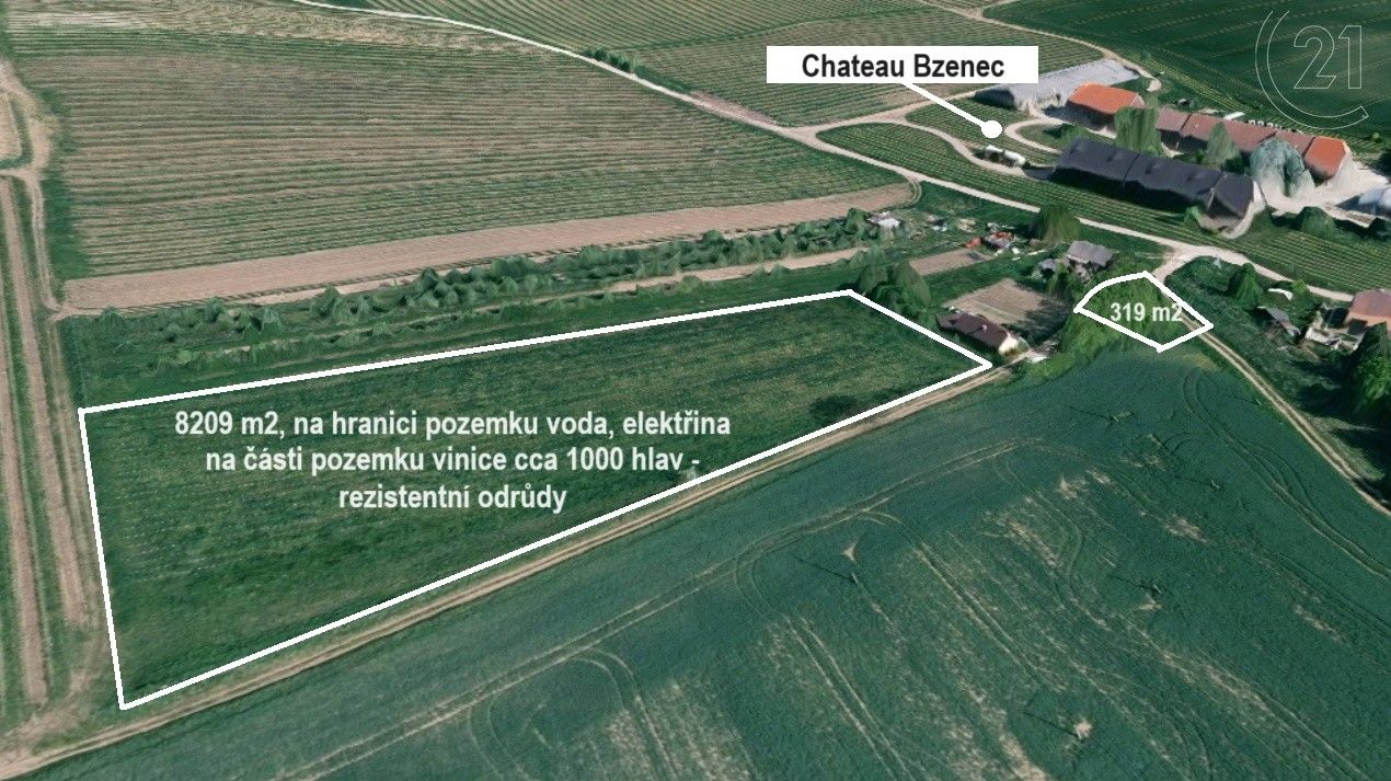 Zemědělské pozemky, Bzenec, 8 528 m²