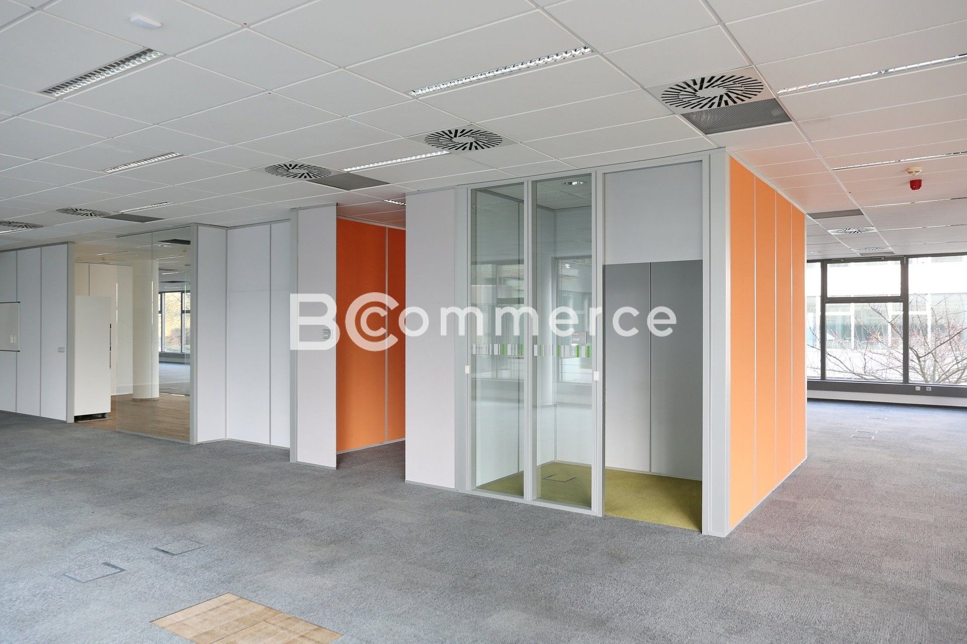 Pronájem kancelář - Královo Pole, Brno, 1 000 m²