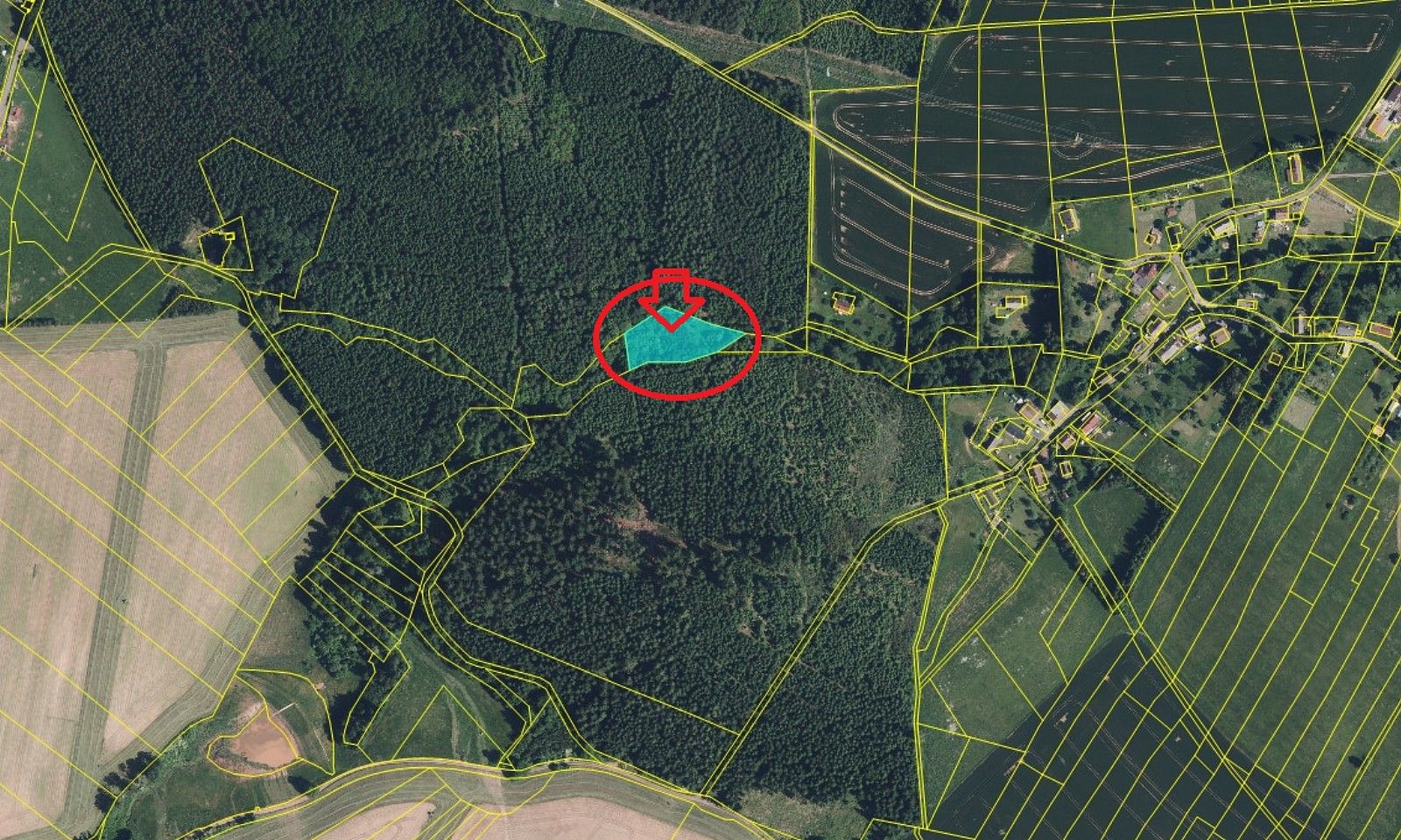 Prodej les - Verneřice, okres Děčín, Ústecký kraj - 5