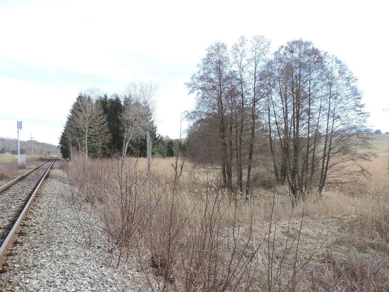 Ostatní, Brniště, okres Česká Lípa - 2