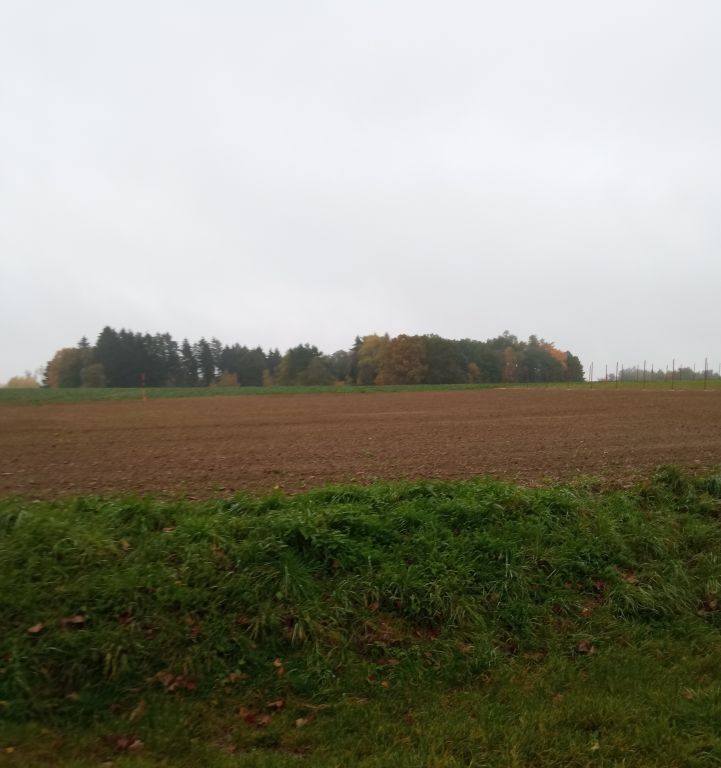 Prodej pozemek pro bydlení - Chocnějovice,Drahotice-Sovinky, 1 734 m²