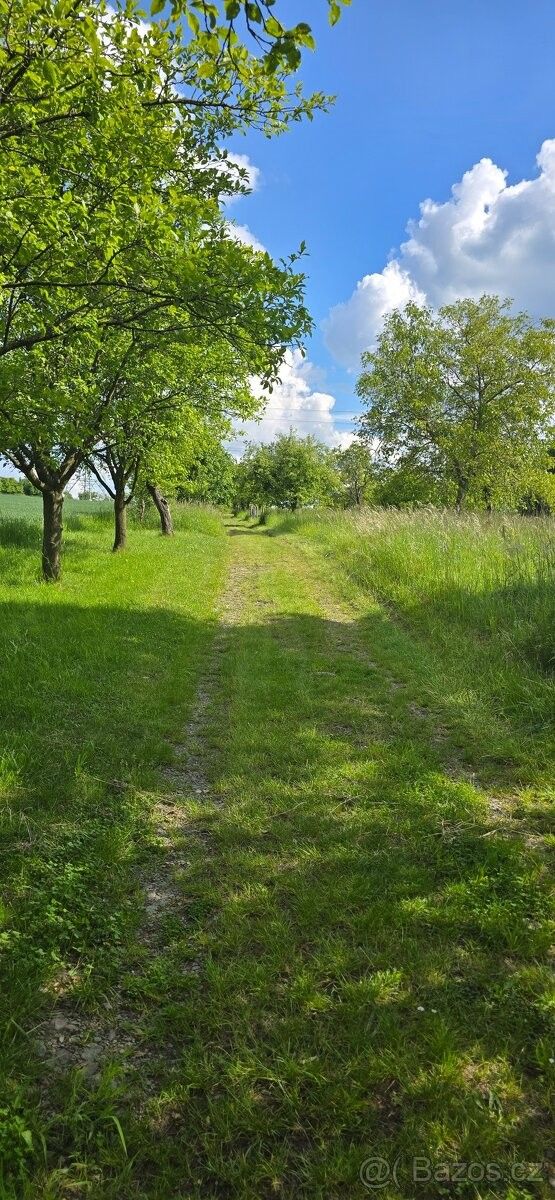 Zahrady, Lipník nad Bečvou, 751 31, 2 200 m²