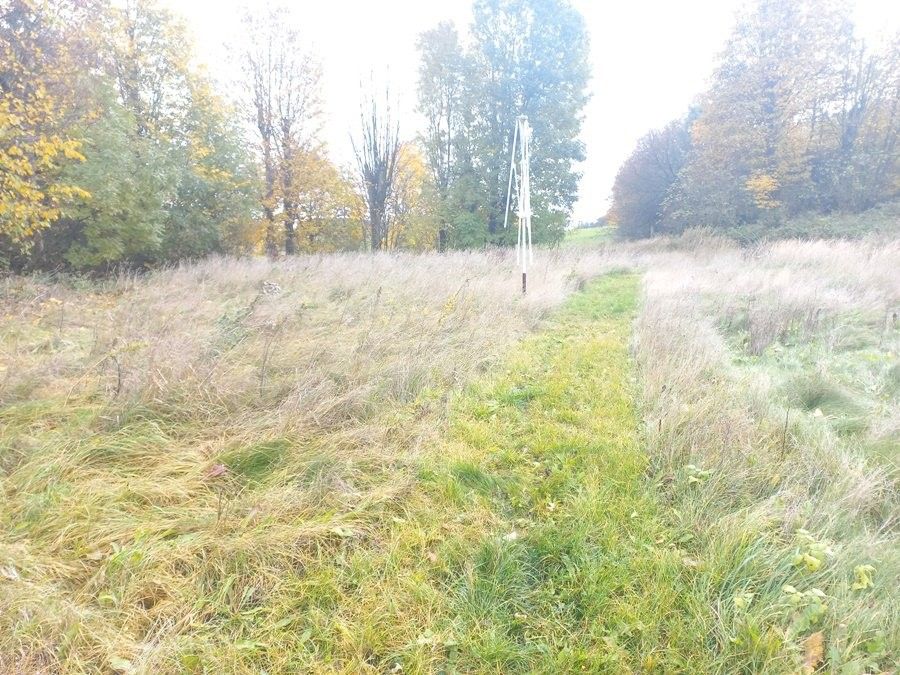 Stavební pozemek, Bochov – další