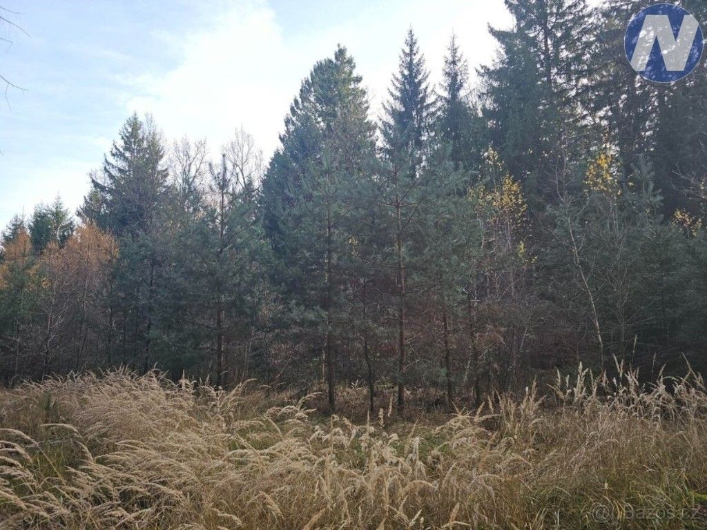 Lesy, Borovany, 9 174 m² - 2