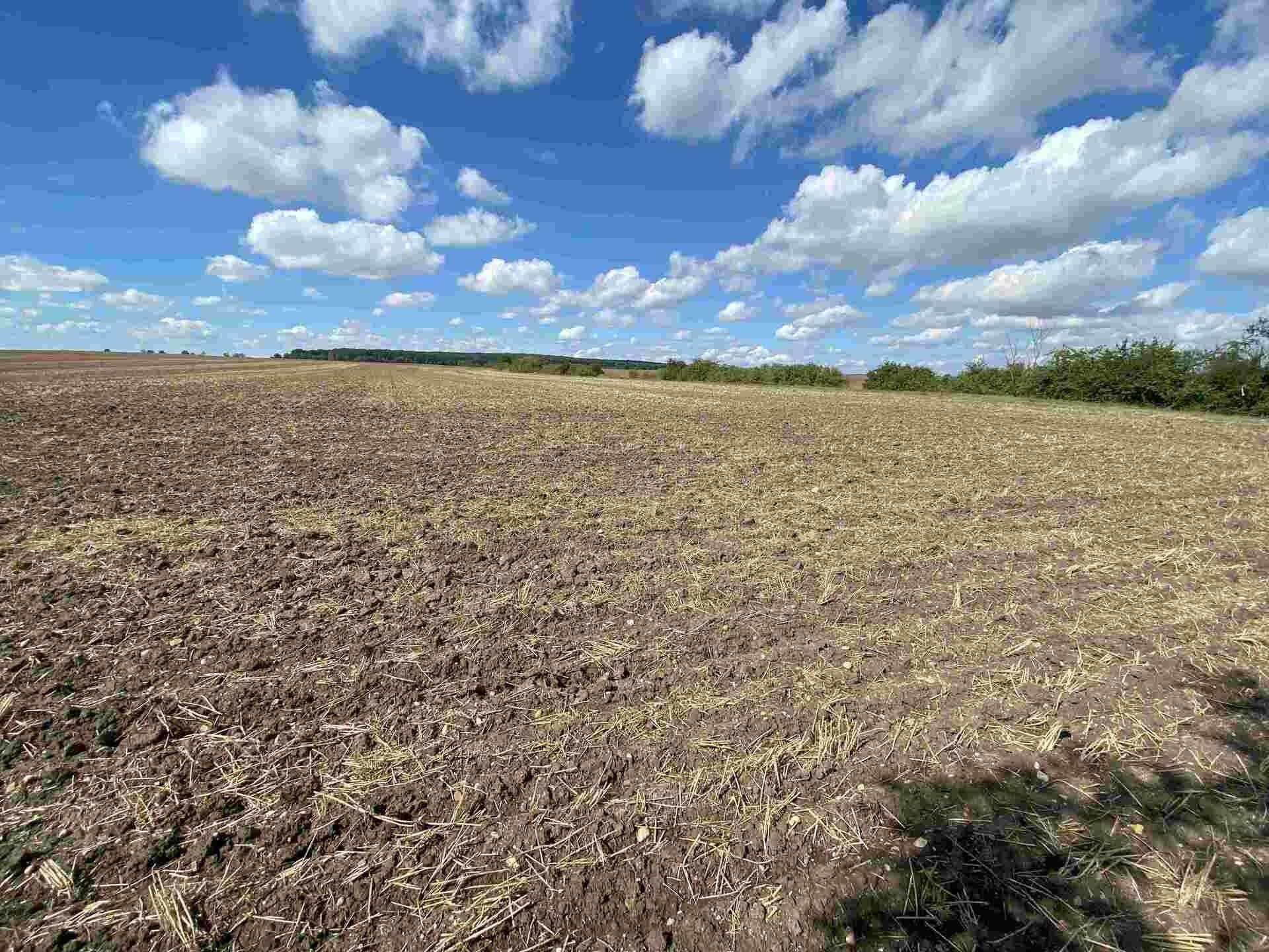 Prodej pozemek - Zábědov, Nový Bydžov, 1 m²