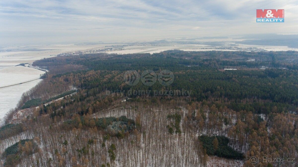 Lesy, Zaječice, 538 35, 8 067 m²