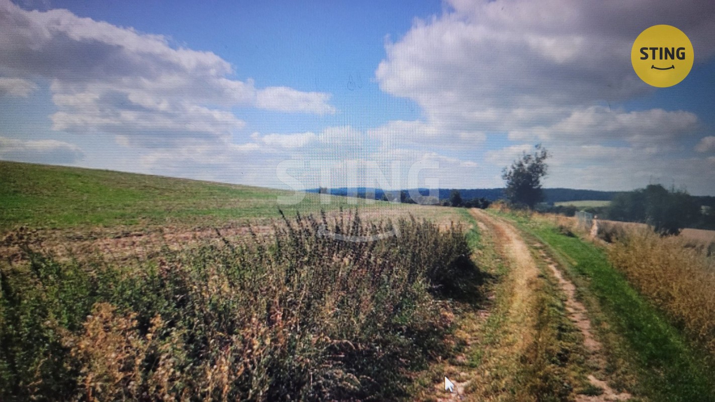 Prodej zemědělský pozemek - Opava Suché Lazce, 5 780 m² - 2