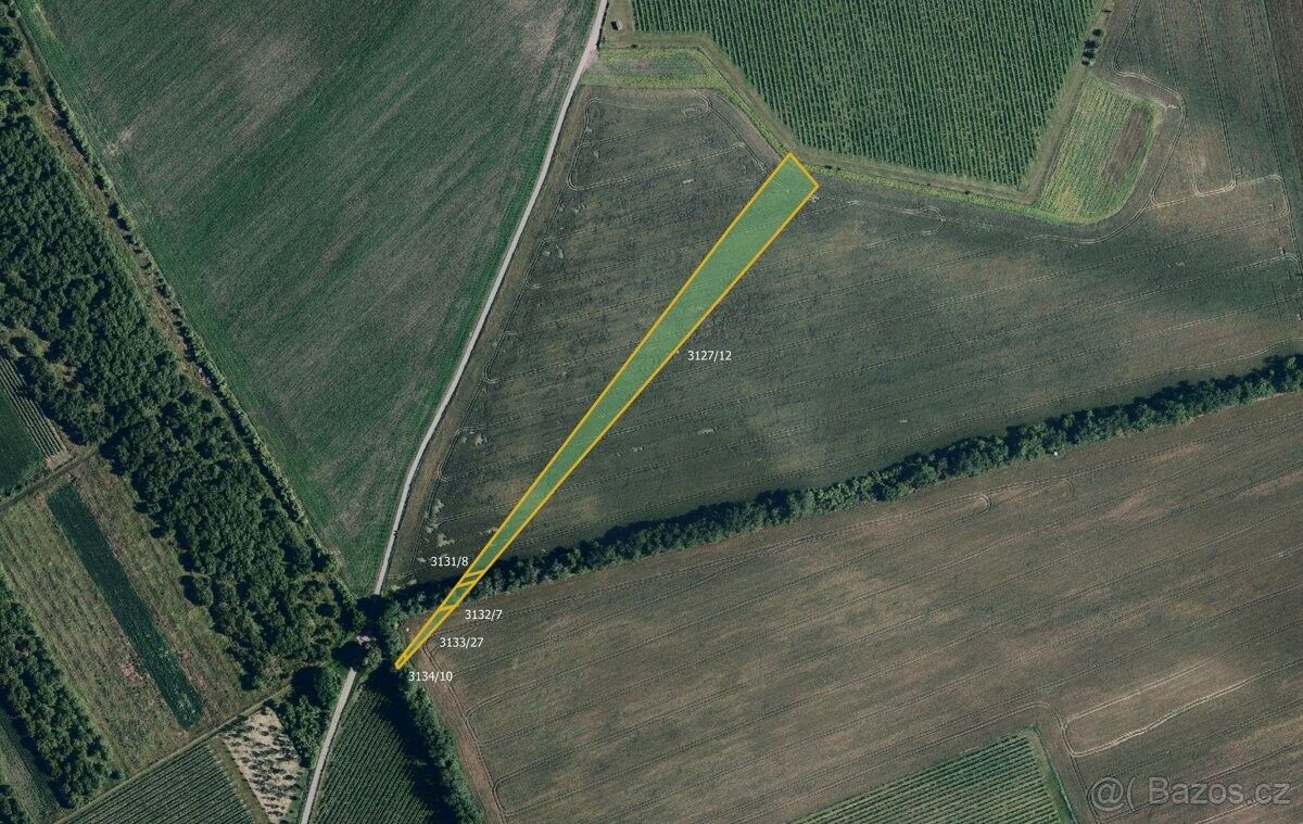 Prodej pozemek pro bydlení - Starý Poddvorov, 696 16