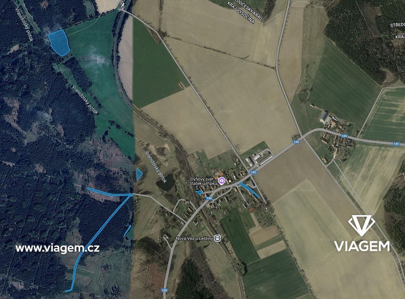 Les · Nová Ves u Leštiny, okres Havlíčkův Brod, Kraj Vysočina - 3