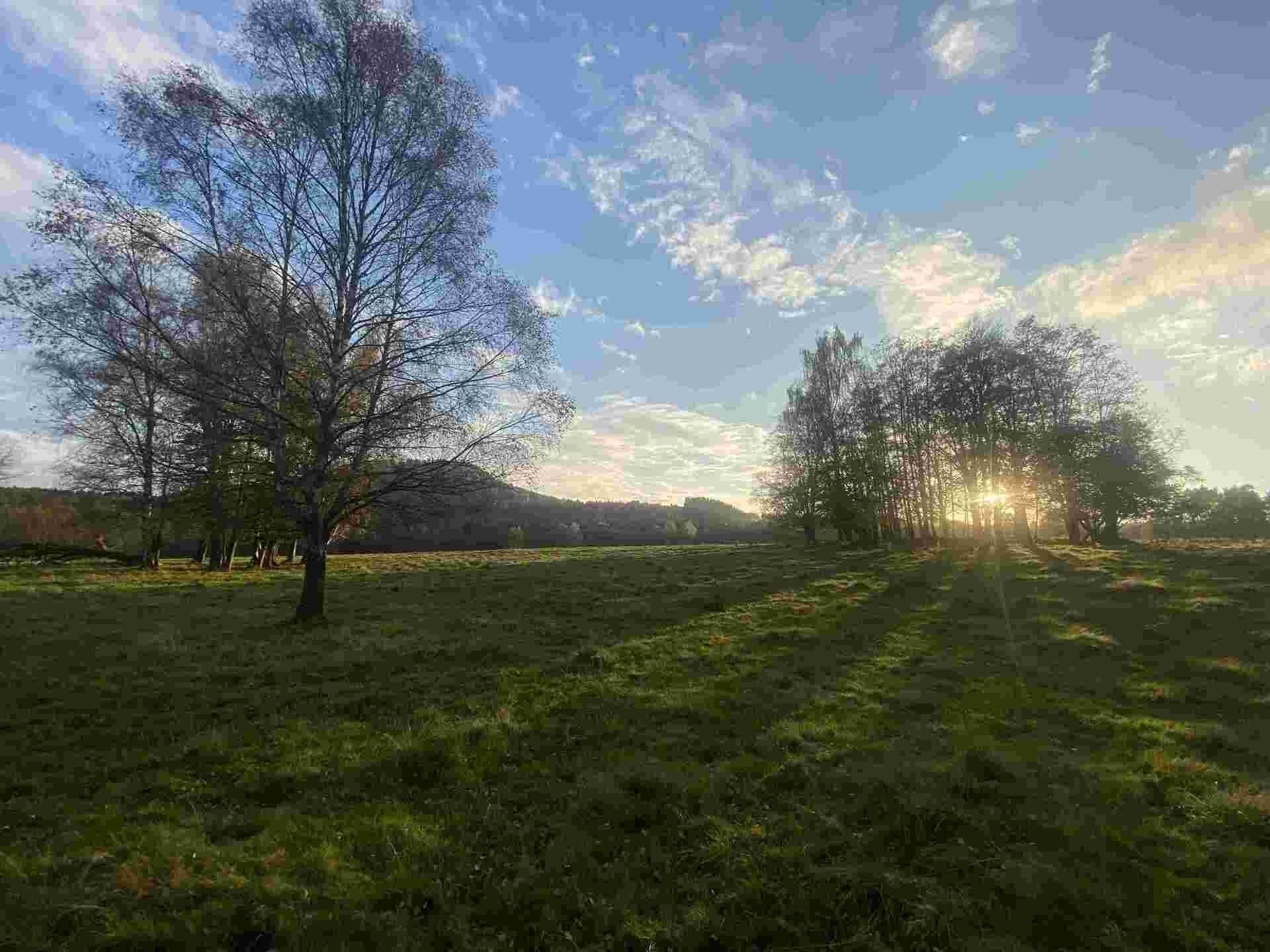 Prodej zemědělský pozemek - Trávník, Cvikov, 16 m²