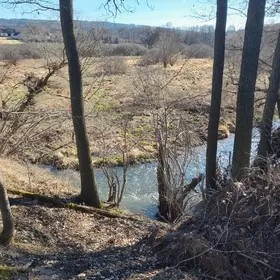 Prodej pozemek pro bydlení - Měcholupy u Blovic, 335 51 - 5