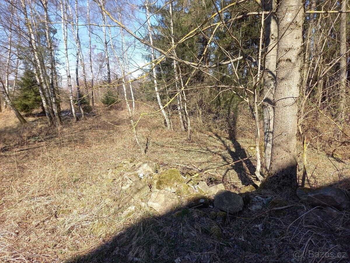 Prodej pozemek pro bydlení - Velká Losenice, 592 11