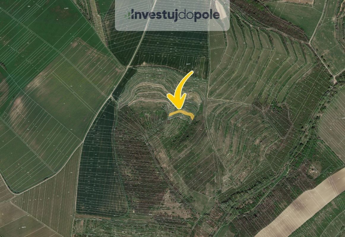 Pozemky pro bydlení, Hustopeče u Brna, 693 01 - 2