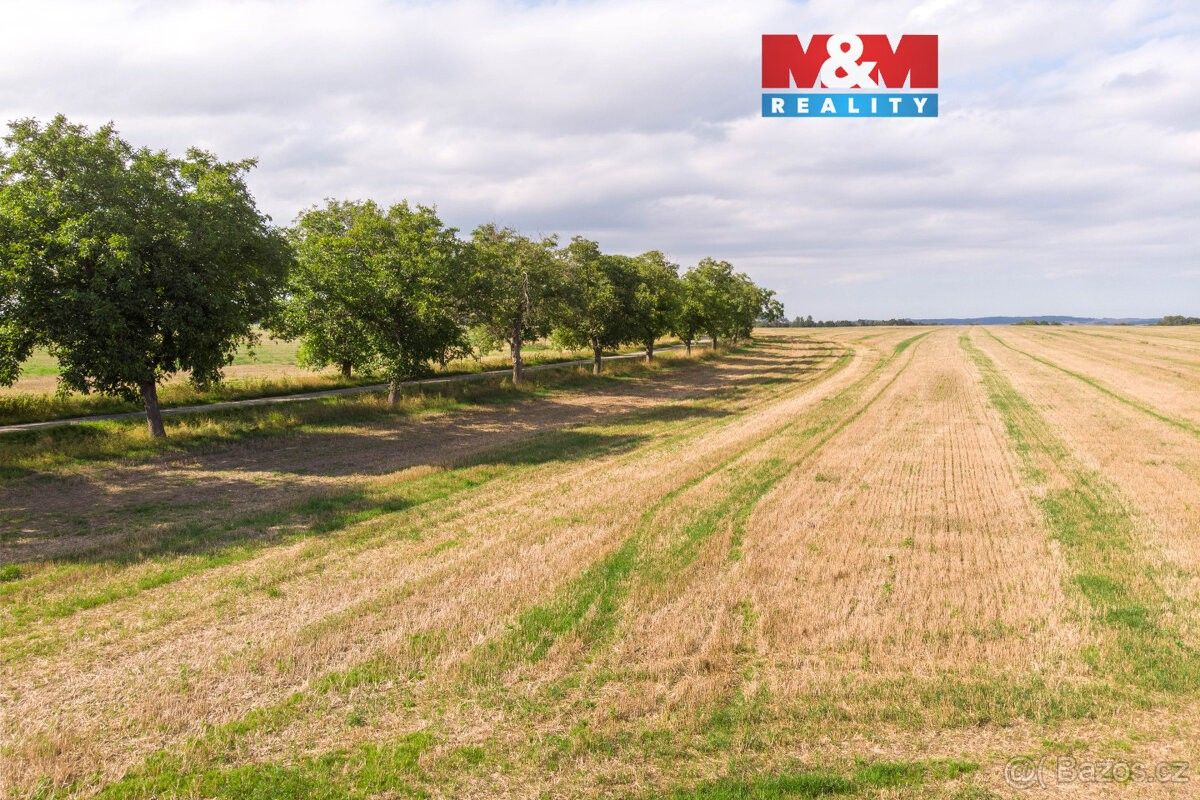 Pozemky pro bydlení, Brumovice u Opavy, 747 71