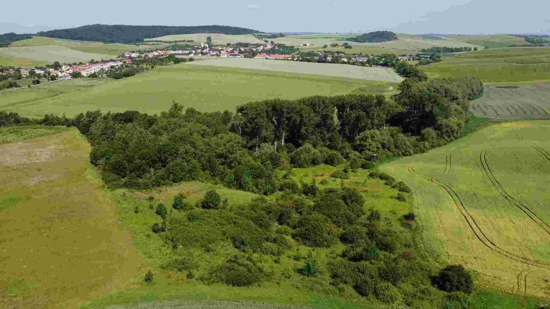 Prodej zemědělský pozemek - Bučovice, 3 134 m² - 5