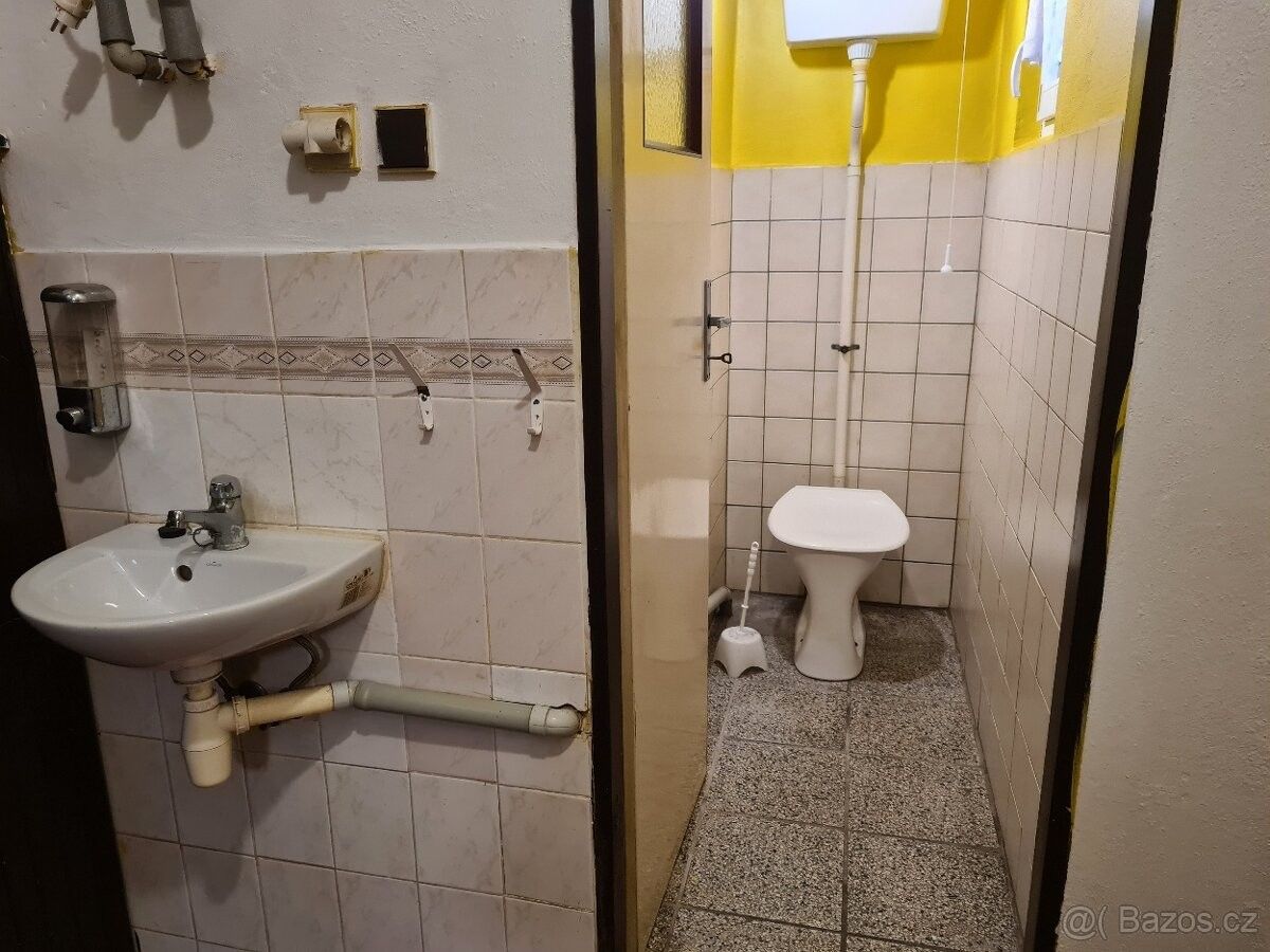 Pronájem byt - Nelahozeves, 277 51