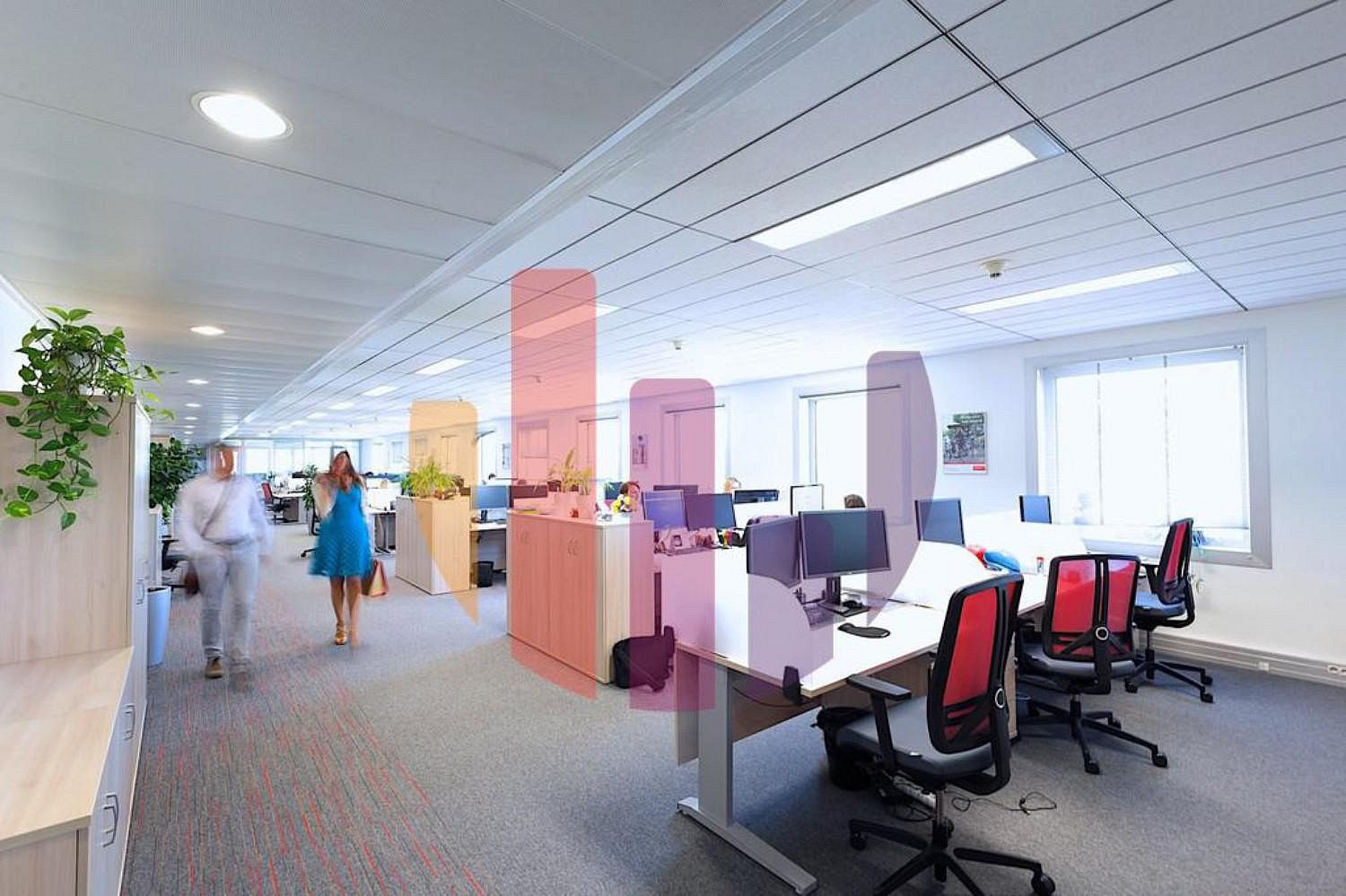 Kancelář · 135 m² · Praha - Karlín, okres Praha 8, Hlavní město Praha - 3