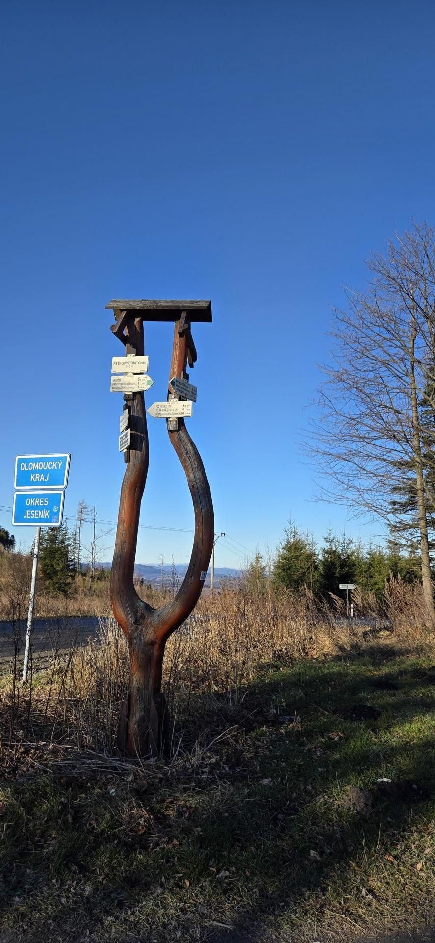 Prodej komerční pozemek - Petrovice, Bruntál, 151 m²