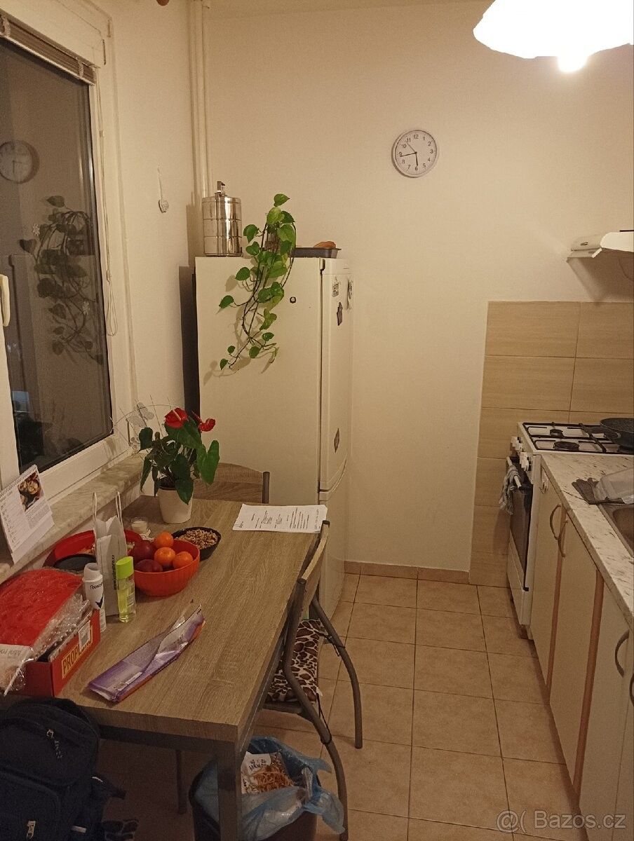 Pronájem byt - Jeseník, 790 01