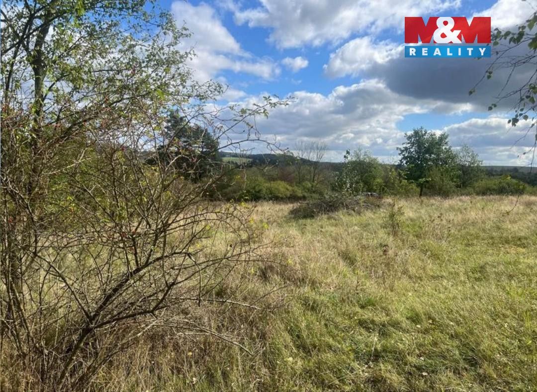 Prodej zahrada - Netvořice, 257 44