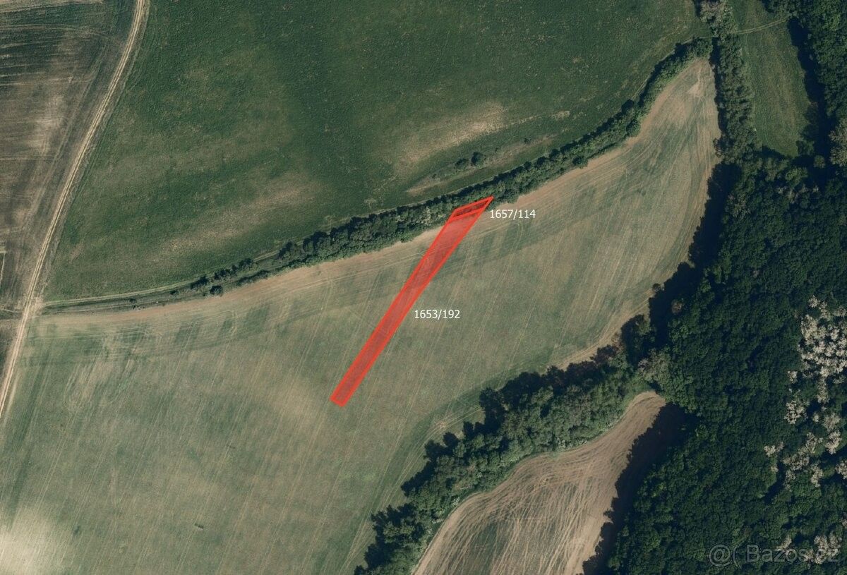 Prodej pozemek pro bydlení - Kyjov, 696 55