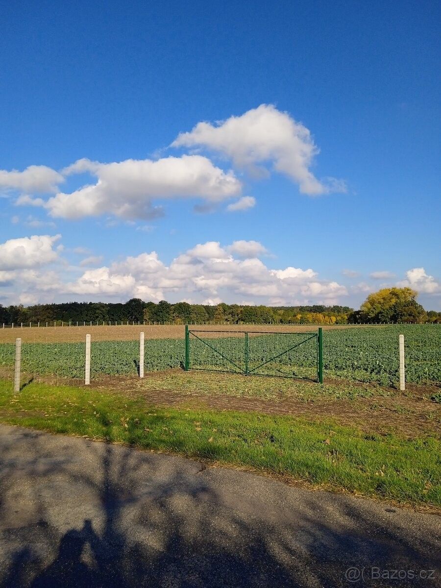 Pozemky pro bydlení, Kutná Hora, 284 01