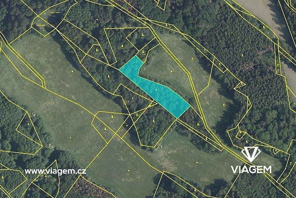 Les · Horní Habartice, okres Děčín, Ústecký kraj - 2
