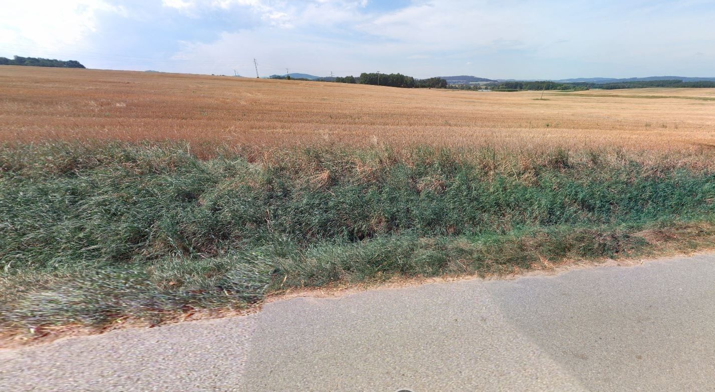 Komerční pozemek · 9 229 m² · Cehnice - 3