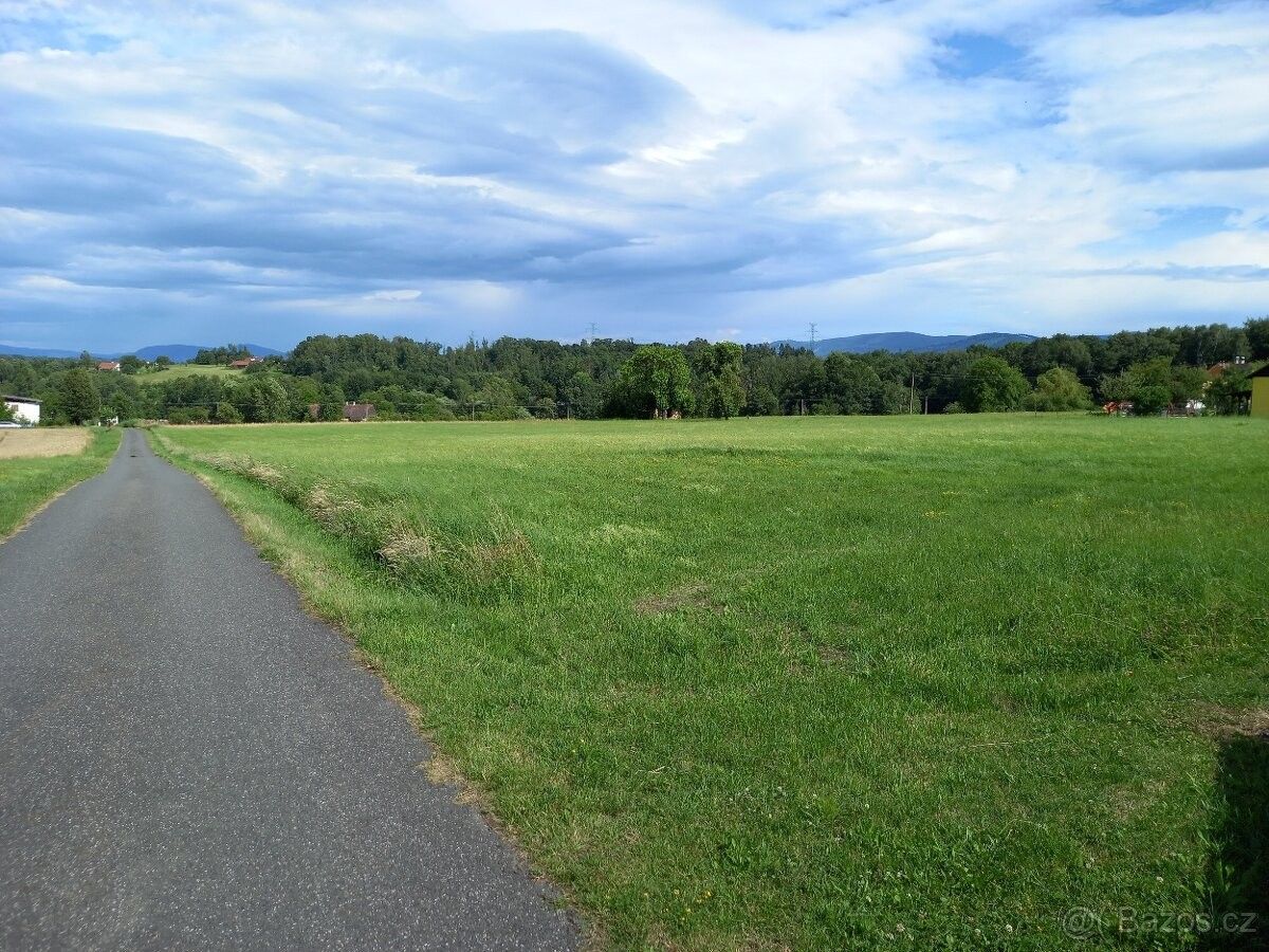 Prodej pozemek pro bydlení - Dolní Domaslavice, 739 38
