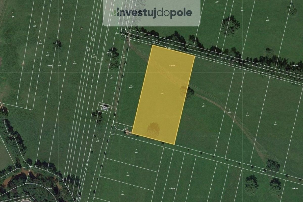 Louky, Dvůr Králové nad Labem, 9 953 m²