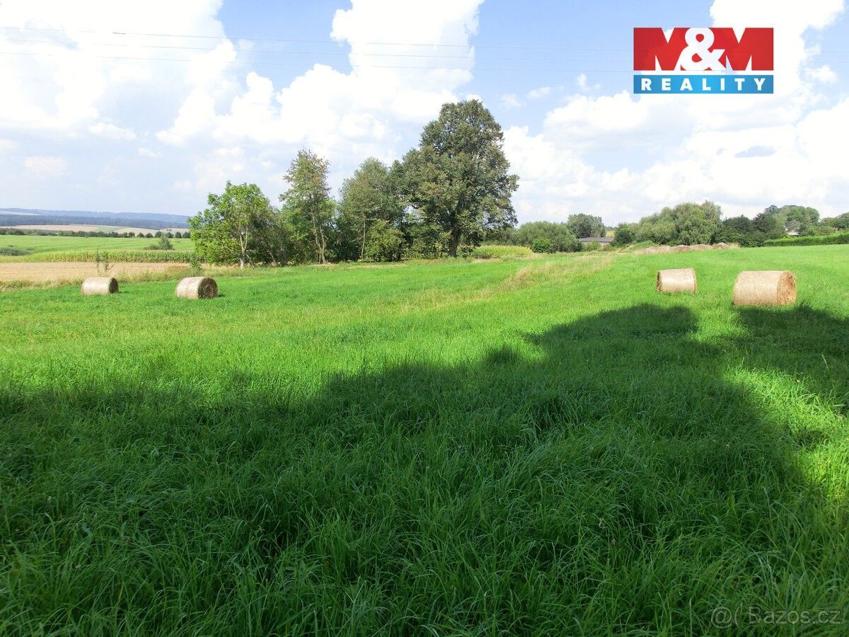 Prodej pozemek pro bydlení - Radenín, 391 20