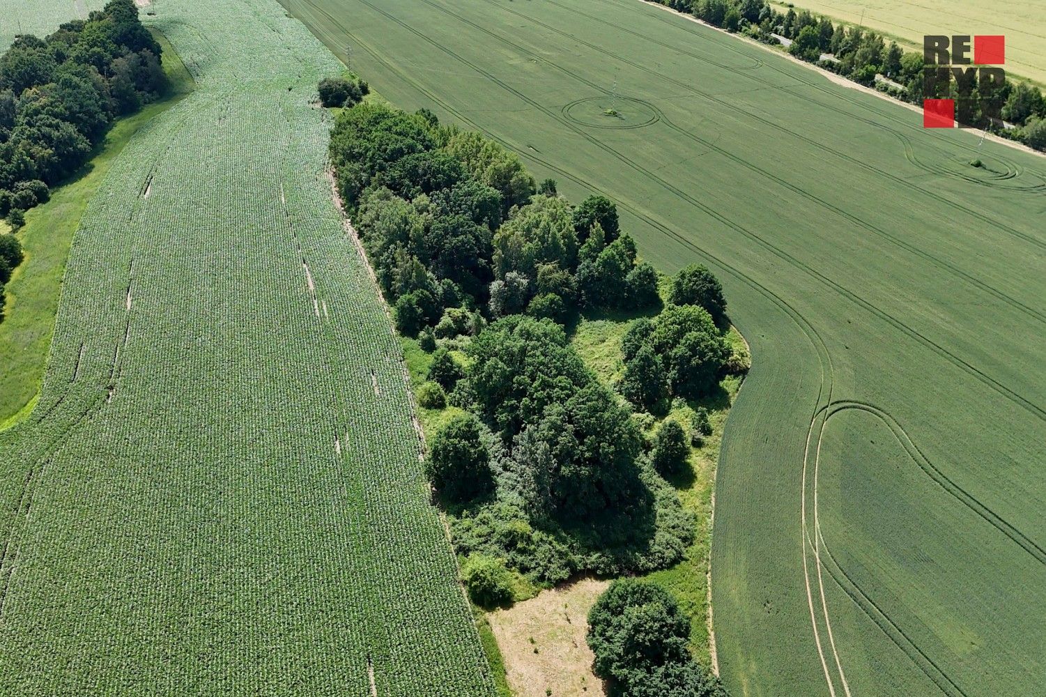 Les · Hrádek nad Nisou - Oldřichov na Hranicích, okres Liberec, Liberecký kraj - 4