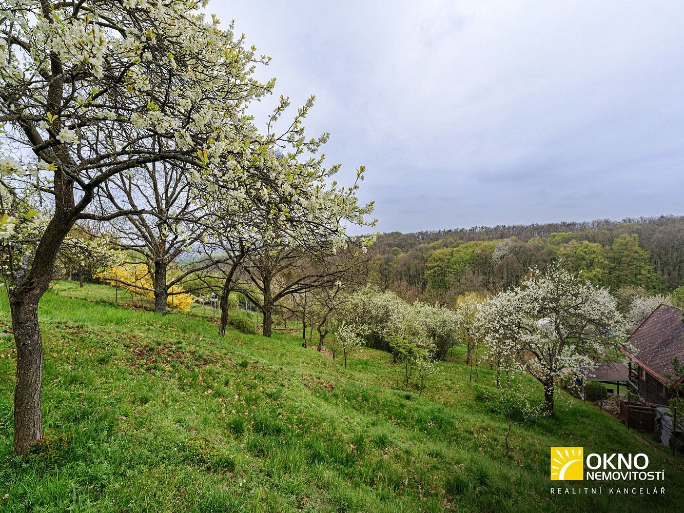 Prodej zahrada - Střelice, okres Brno-venkov, Jihomoravský kraj - 2