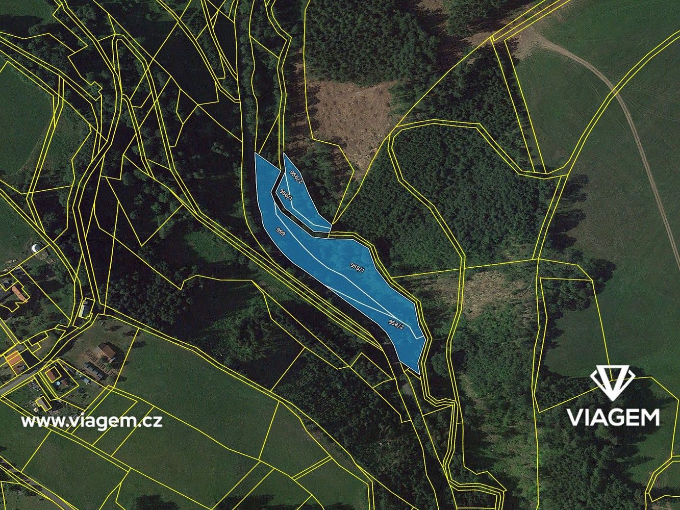 Les · Stružinec, okres Semily, Liberecký kraj - 4