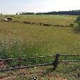 Pozemek pro bydlení · Napajedla, 763 61 - 3