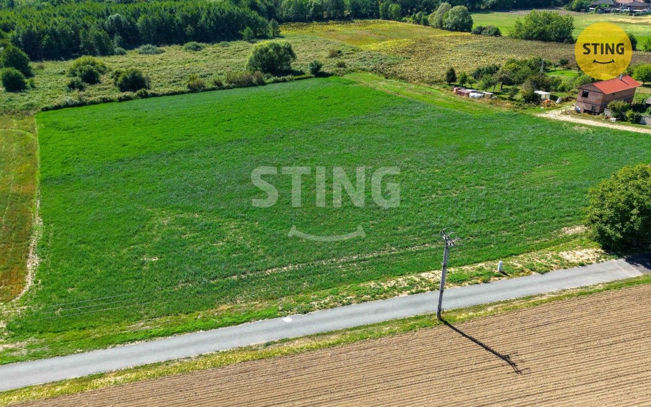 Prodej pozemek pro bydlení - Rybníky, 1 490 m² - 5