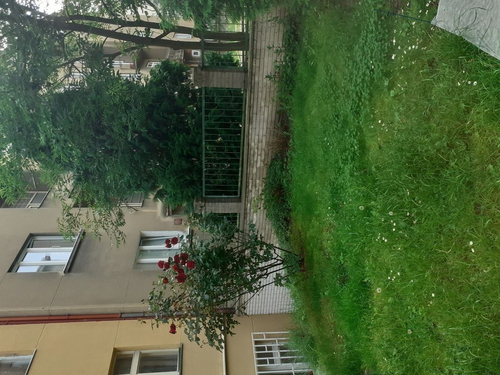 Byt 1+kk · 24 m² · V Horní Stromce, Vinohrady - 4