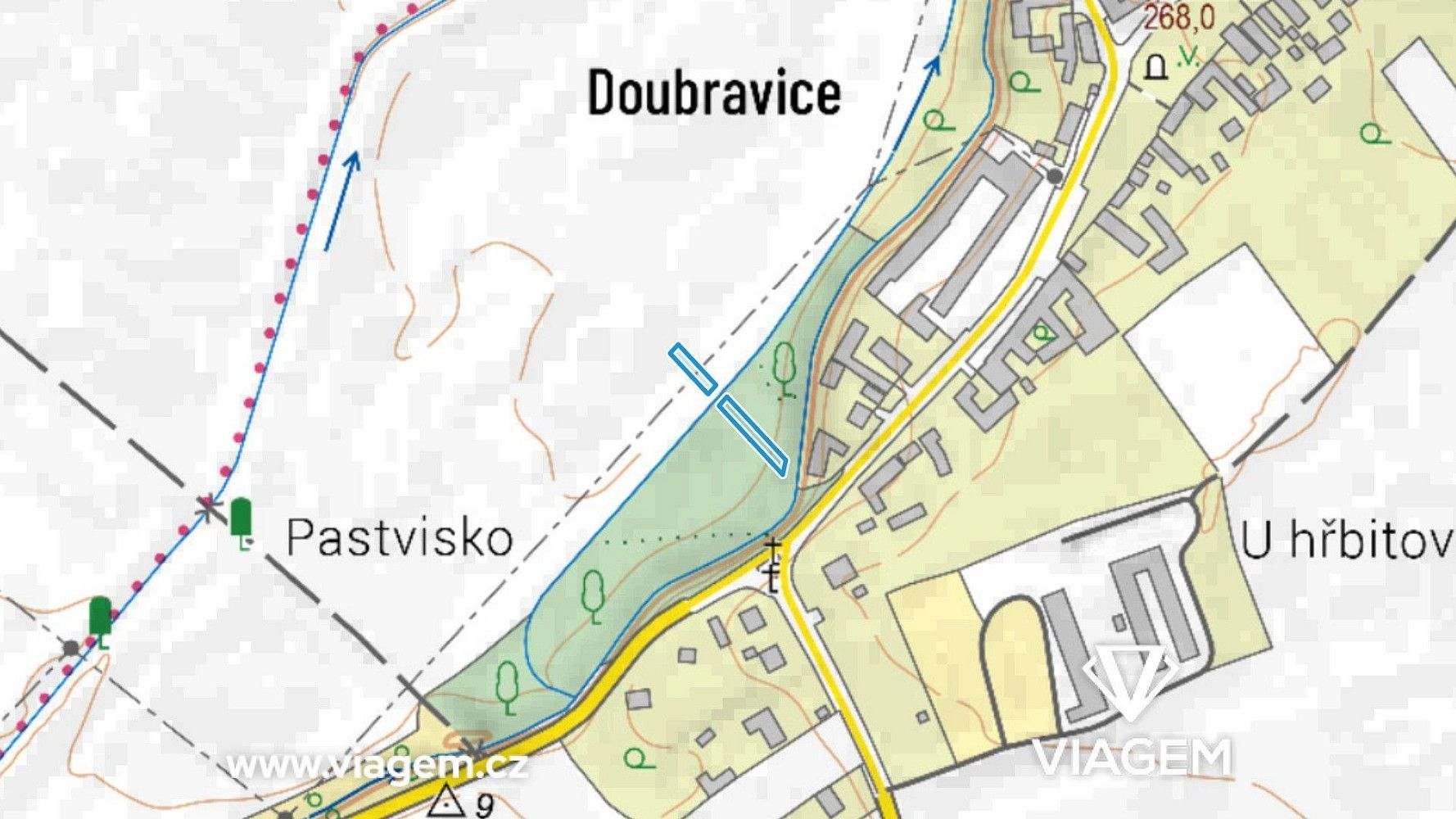 Les · Moravičany, okres Šumperk, Olomoucký kraj - 3